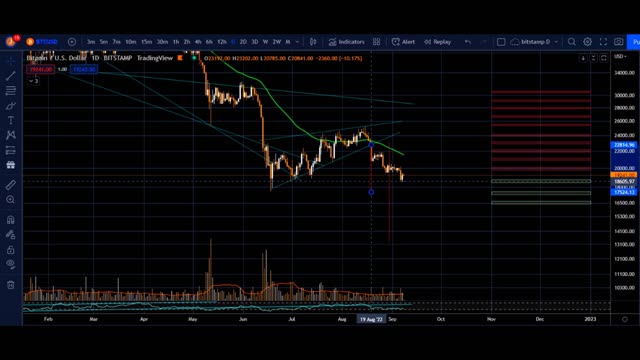 luna classic LUNC + thursday september 8 bitcoin BTC