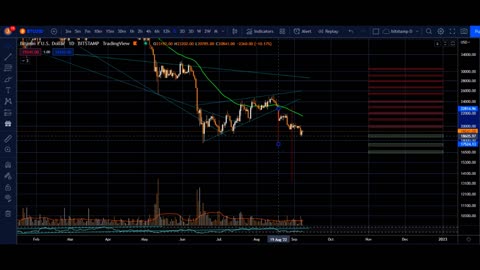 luna classic LUNC + thursday september 8 bitcoin BTC