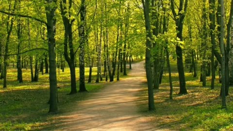 Online Digital Entrepreneurship