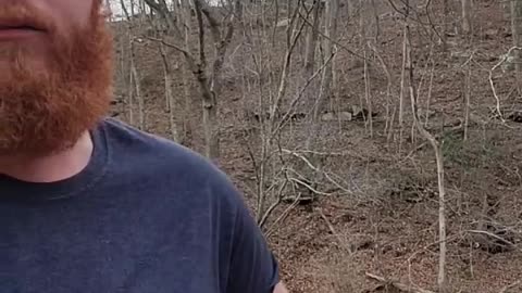 Ain't Gotta Dollar - Oliver Anthony. WV Coal train and creek flowing in background