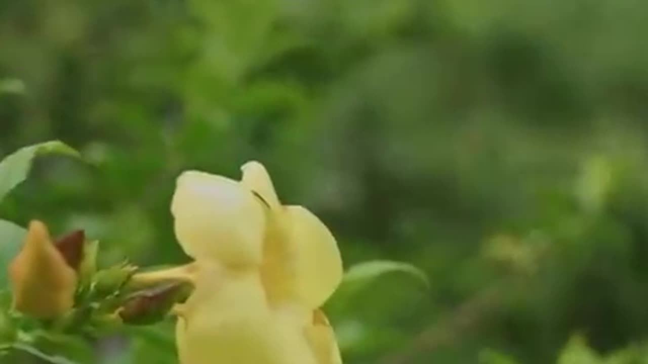 All human experience is created from inside