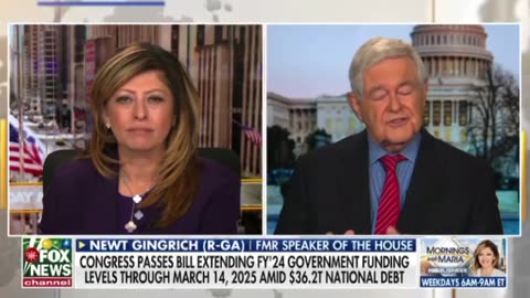 Newt Gingrich-this is an example of Trump really being the de facto President