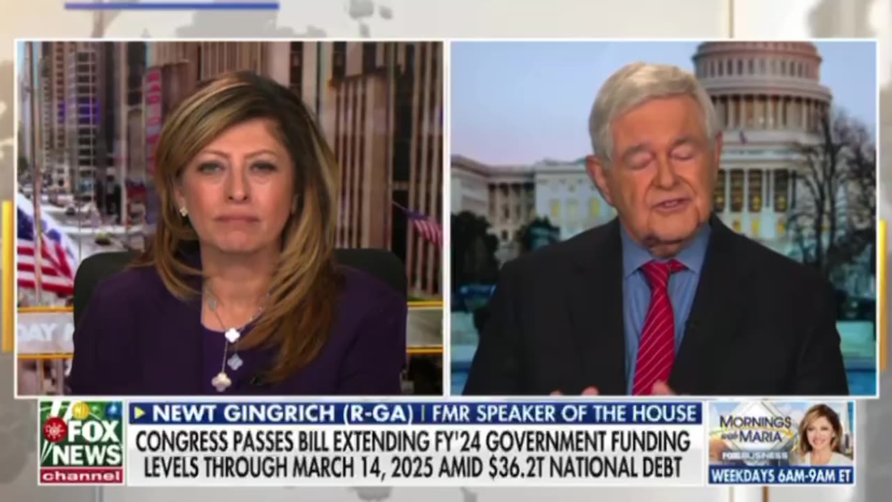 Newt Gingrich-this is an example of Trump really being the de facto President