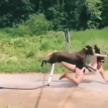 Funny Moment Funny Video Entertainment