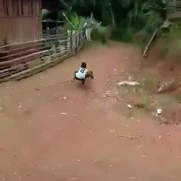 do not doubt about it