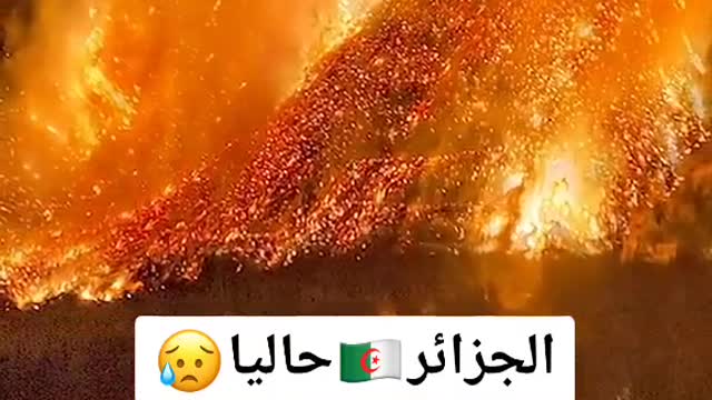 لكي الله يا جزائر