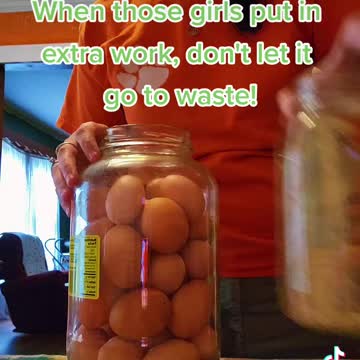 Old Time Egg Preserving Hack