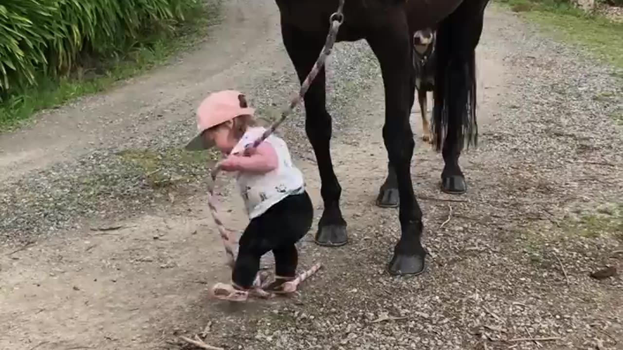 Little Girl Leads Horse __ ViralHog