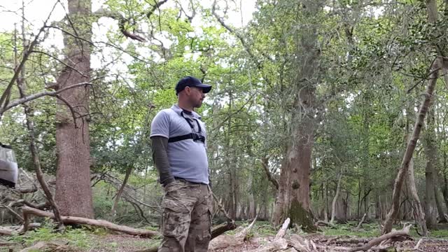 I don't want to leave this woodland. Such a shame. Vlog