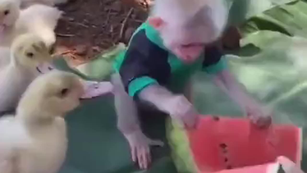 Fruit for friends ❤️
