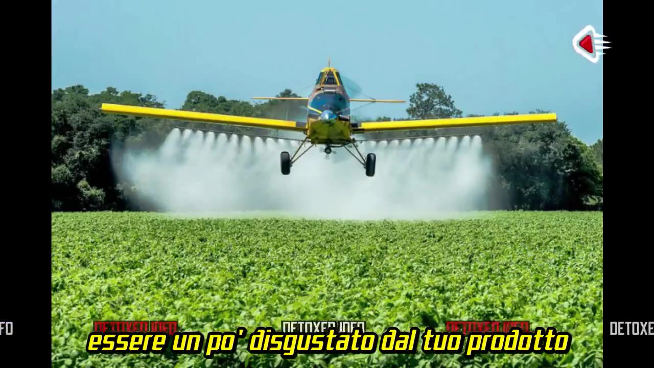 Il Nuovo Ordine Dei Barbari