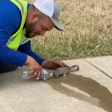 Man watering a squirrel and becoming friends