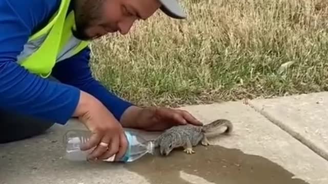 Man watering a squirrel and becoming friends