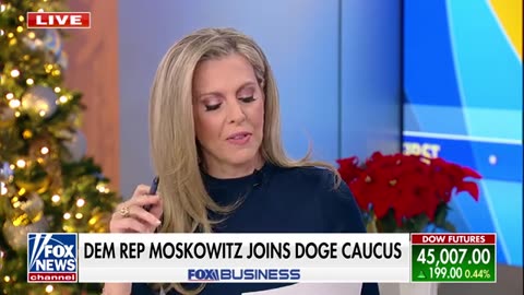 Democrat joins DOGE caucus_ 'A bipartisan cause'