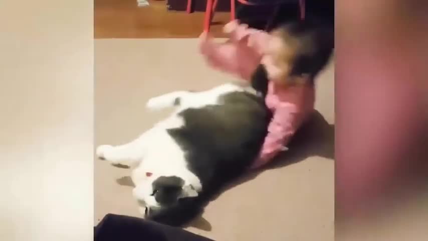 very cuty animal and kids video