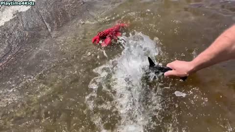 Sea Animal Toys This Summer at the Shore