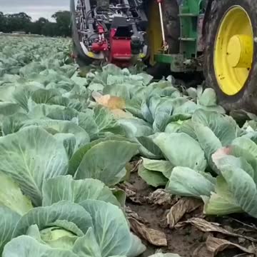 Most Trending and Viral video #shorts #trending #youtubeshorts #youtube #viral #short #youtuber