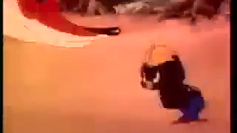 The Early Worm Gets The Bird 1940 (WB Censored 11+ Cartoons) Pt8