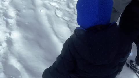 Michigan Family Builds an Igloo in the Backyard