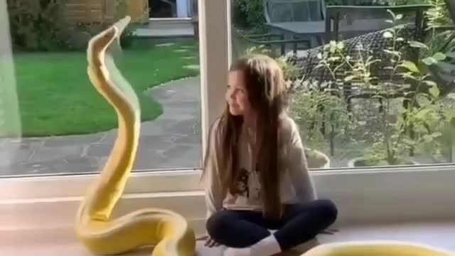 Cute girl snake video 🐍🐍🐍