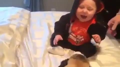The child is playing with the dog