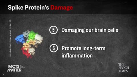 Facts Matter - True Dangers of the Spike Protein, and How to Detoxify Yourself From It