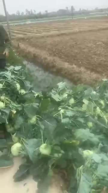 2021 Đã có thời nào được như thời nay chưa