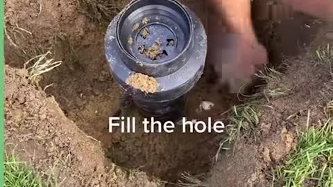 This is probably more entertaining than actually watching football 🤣😅