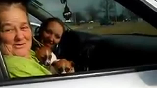 Little girl very emotional after new puppy surprise