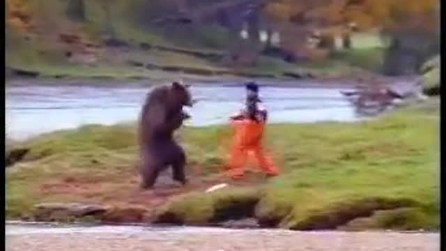 Bear gets ass kicked by fishermen 😂🐻