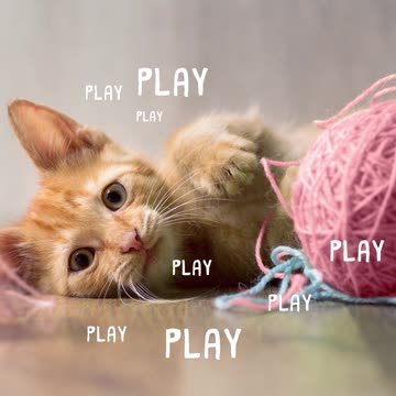 Organic Reach Options in 2021