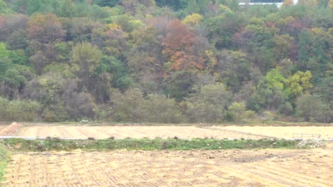 Beautiful autumn scenery of Korea 2