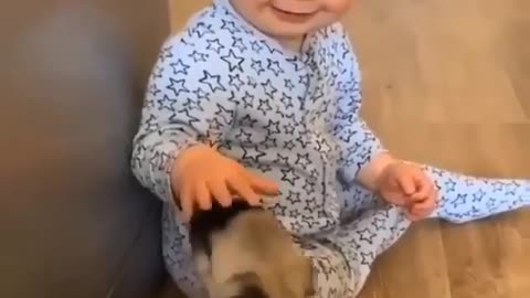 Baby boy and dog beautiful trending video