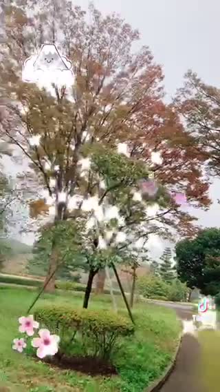 Japanese Park ☘️🌳🌳