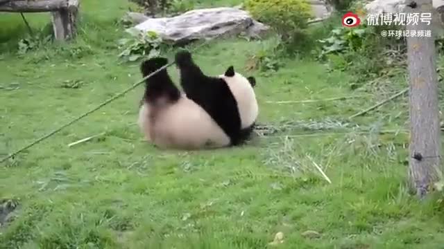 KUNG FU PANDA