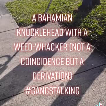 A Bahamian immigrant nearly injures me with a weed-whacker near Pompano Beach, Florida
