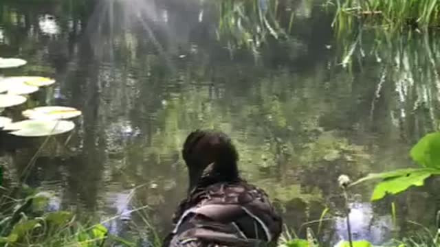 A bird enjoying tranquility