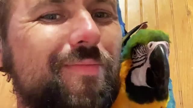 lol#macaw#cute