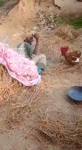 እሰኪ እንሳቅ