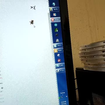 Spider be like on monitor.