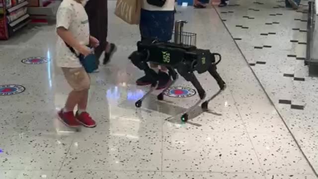 Robotic doggy serves shoppers with hand sanitizer