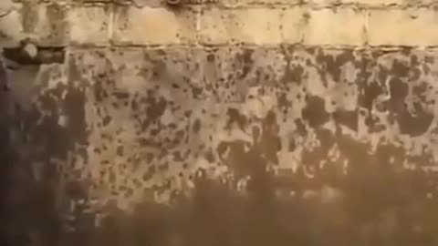 News Break: Admin Reveal