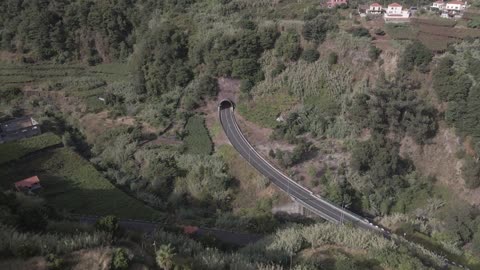 Above View of a Road in the Forest