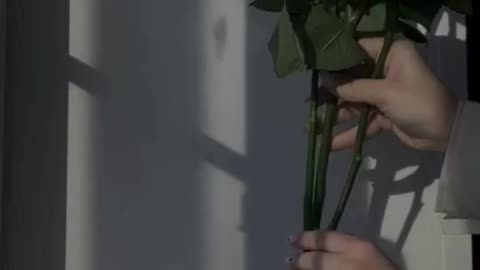 Elegance in Bloom: ASMR Long-Stemmed White Flowers