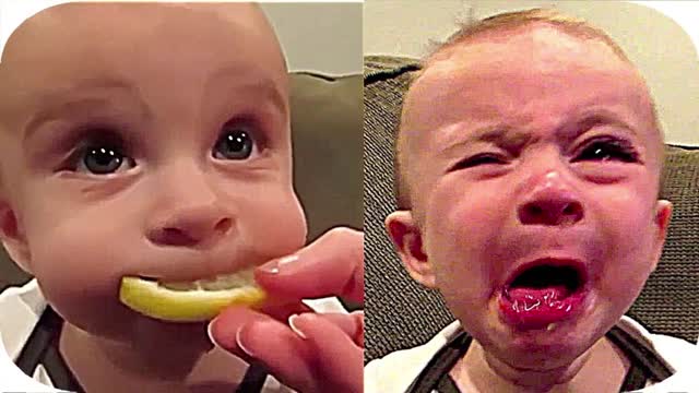 Toddlers first experience with lemons