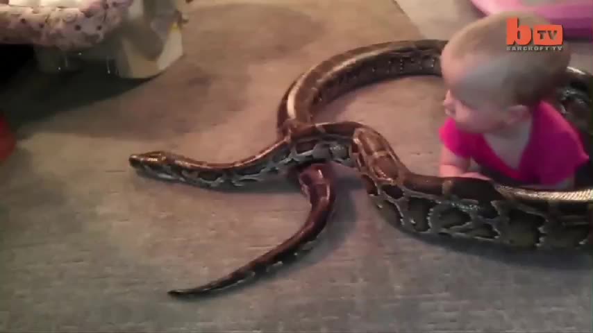 This innocent baby plays with snake