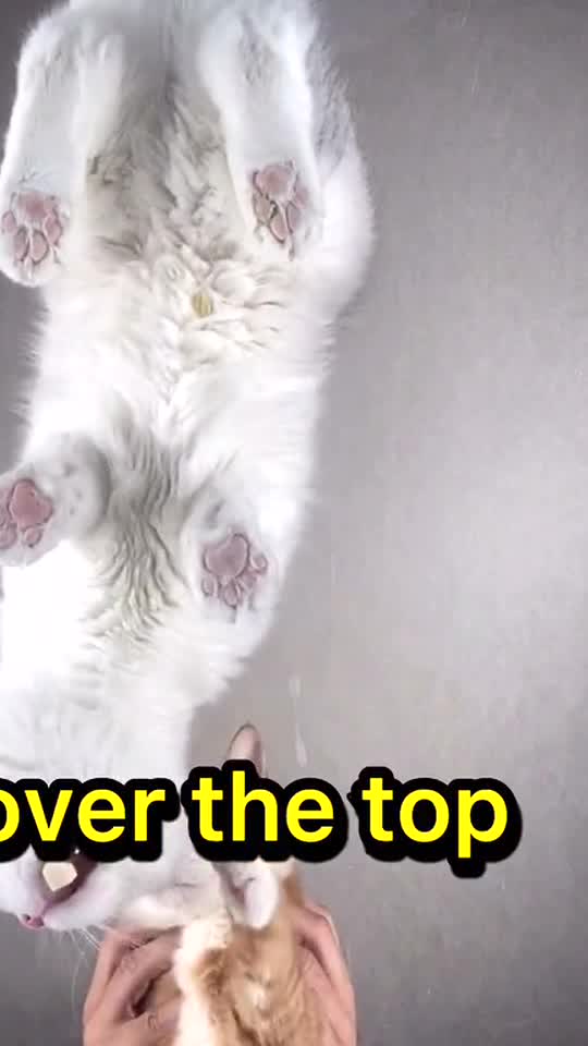 I was gonna take pictures like TikTok