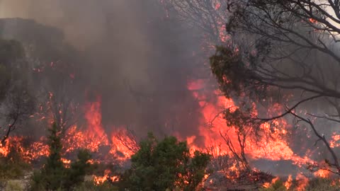 Tunisia fires