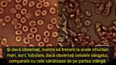 Ce se întâmplă cu sangele după injectare