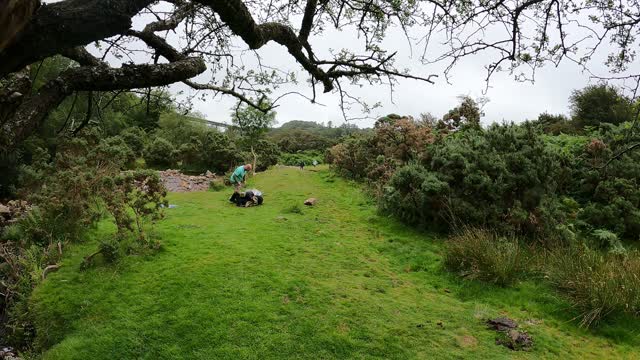 Riverside in Dartmoor . Speedlapse